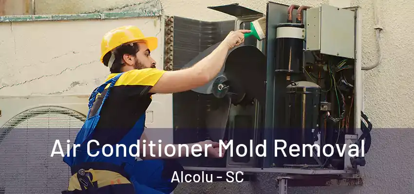 Air Conditioner Mold Removal Alcolu - SC