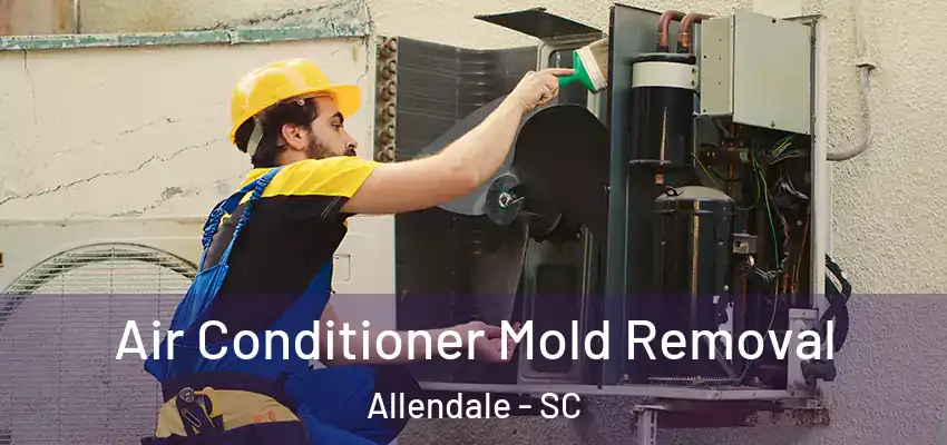  Air Conditioner Mold Removal Allendale - SC