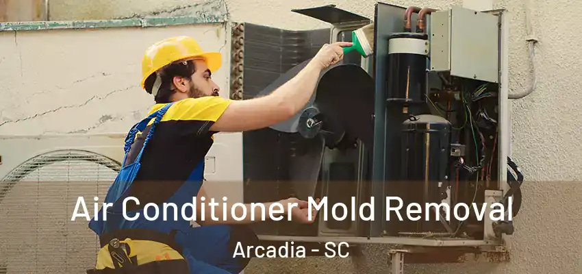  Air Conditioner Mold Removal Arcadia - SC