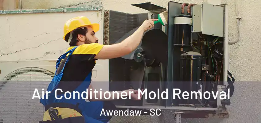  Air Conditioner Mold Removal Awendaw - SC