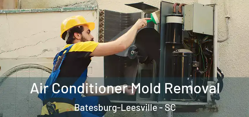  Air Conditioner Mold Removal Batesburg-Leesville - SC