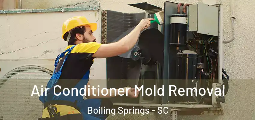  Air Conditioner Mold Removal Boiling Springs - SC