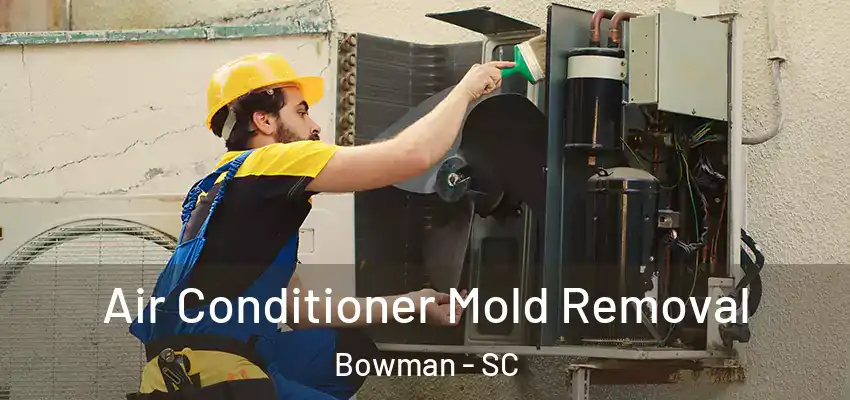 Air Conditioner Mold Removal Bowman - SC