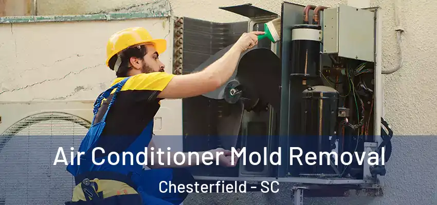  Air Conditioner Mold Removal Chesterfield - SC