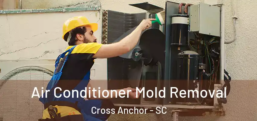  Air Conditioner Mold Removal Cross Anchor - SC