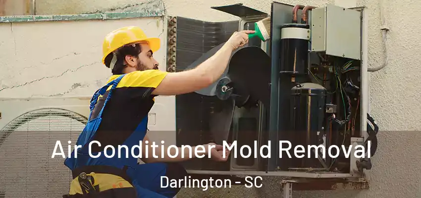  Air Conditioner Mold Removal Darlington - SC