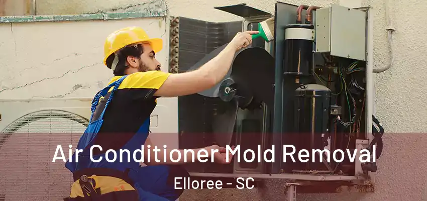 Air Conditioner Mold Removal Elloree - SC