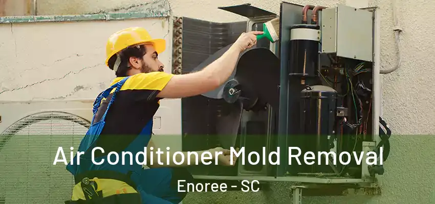  Air Conditioner Mold Removal Enoree - SC