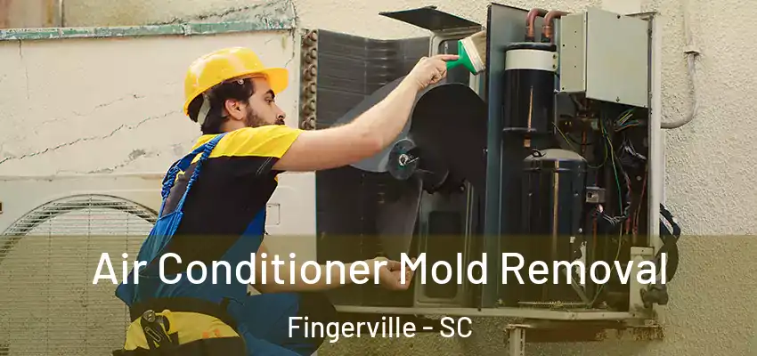  Air Conditioner Mold Removal Fingerville - SC