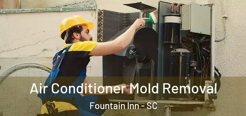 Air Conditioner Mold Removal Fountain Inn - SC