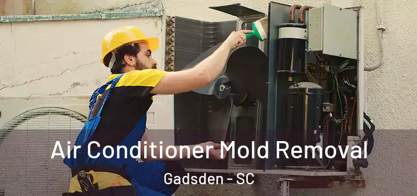Air Conditioner Mold Removal Gadsden - SC