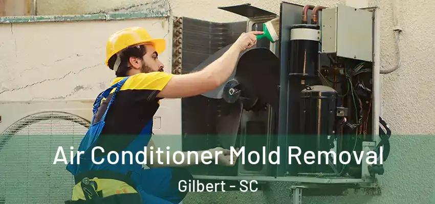 Air Conditioner Mold Removal Gilbert - SC