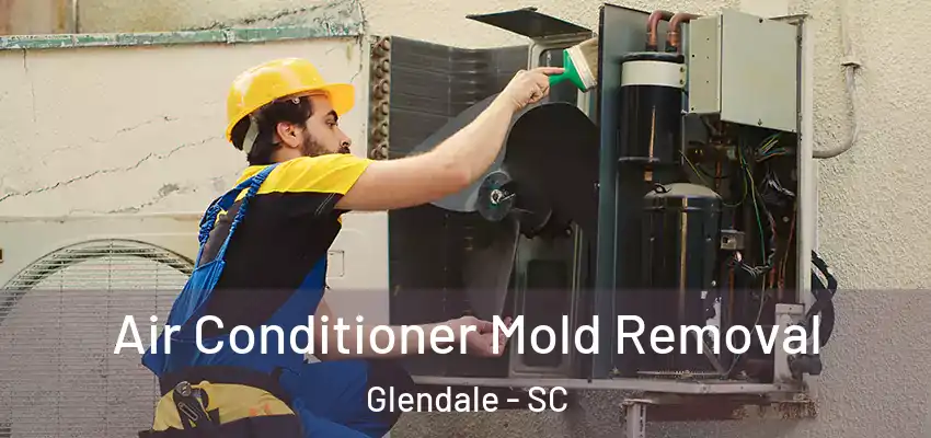  Air Conditioner Mold Removal Glendale - SC
