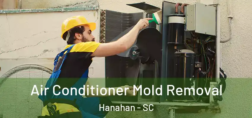 Air Conditioner Mold Removal Hanahan - SC
