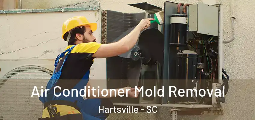 Air Conditioner Mold Removal Hartsville - SC