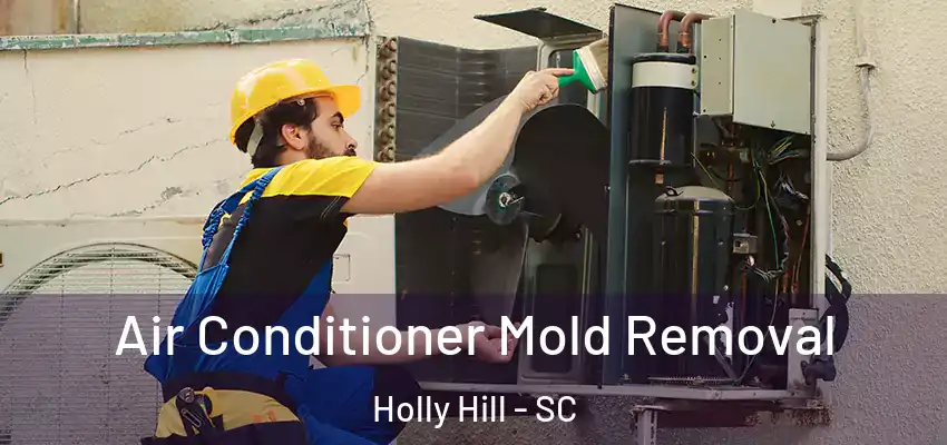  Air Conditioner Mold Removal Holly Hill - SC