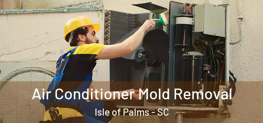 Air Conditioner Mold Removal Isle of Palms - SC