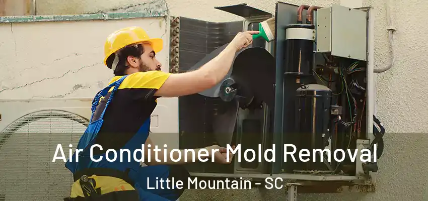  Air Conditioner Mold Removal Little Mountain - SC