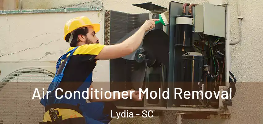  Air Conditioner Mold Removal Lydia - SC