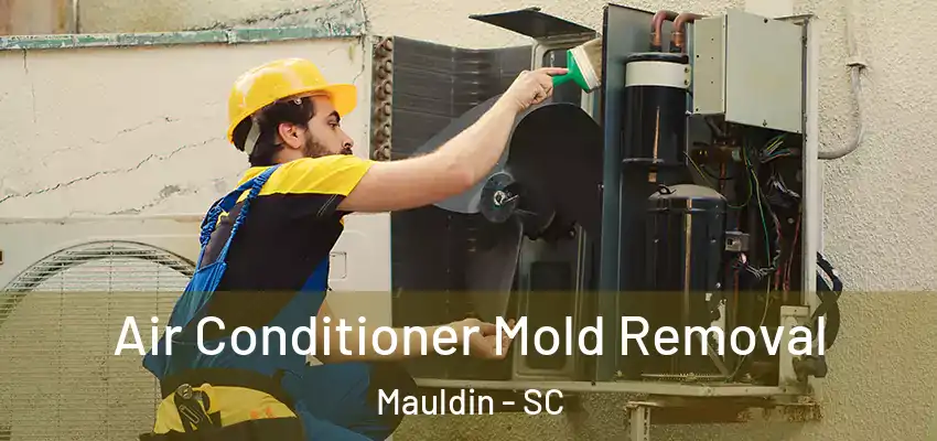  Air Conditioner Mold Removal Mauldin - SC