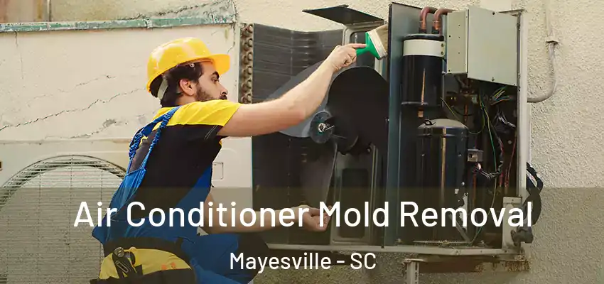  Air Conditioner Mold Removal Mayesville - SC