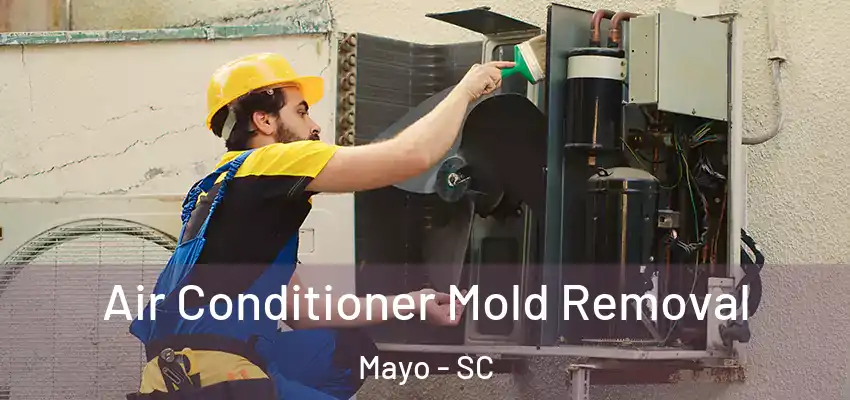  Air Conditioner Mold Removal Mayo - SC