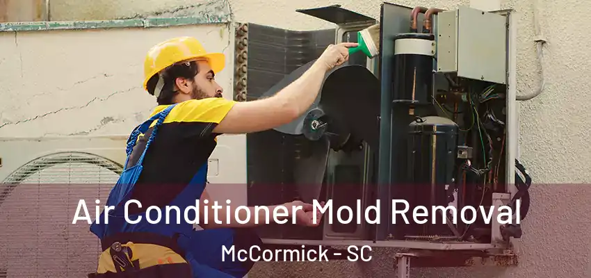  Air Conditioner Mold Removal McCormick - SC