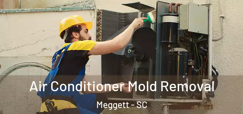  Air Conditioner Mold Removal Meggett - SC