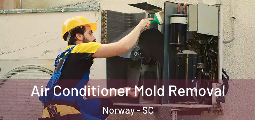 Air Conditioner Mold Removal Norway - SC