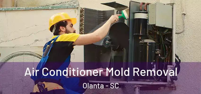  Air Conditioner Mold Removal Olanta - SC