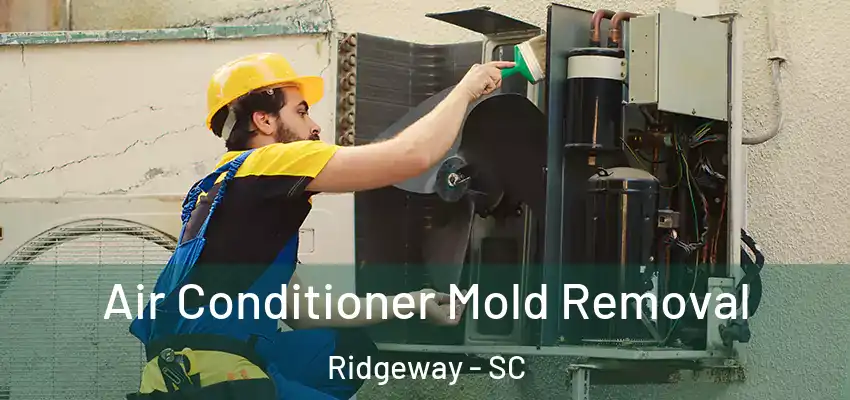  Air Conditioner Mold Removal Ridgeway - SC