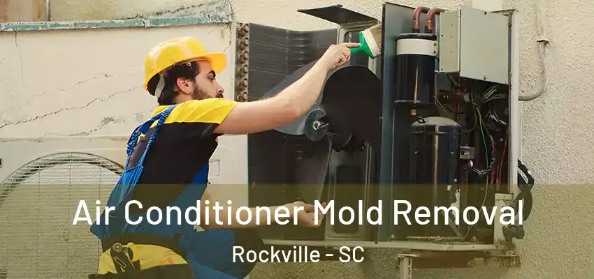  Air Conditioner Mold Removal Rockville - SC