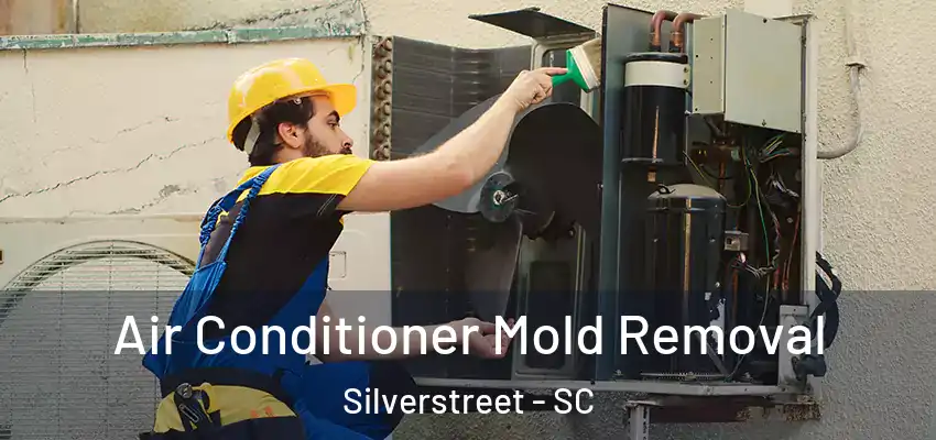 Air Conditioner Mold Removal Silverstreet - SC
