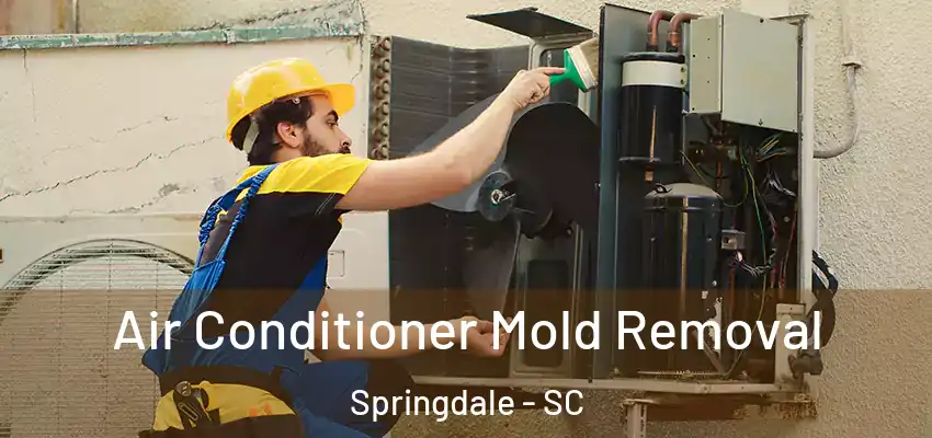  Air Conditioner Mold Removal Springdale - SC