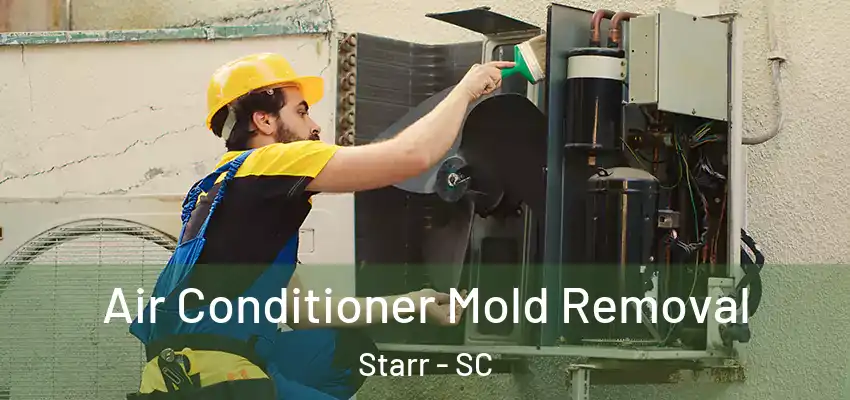 Air Conditioner Mold Removal Starr - SC