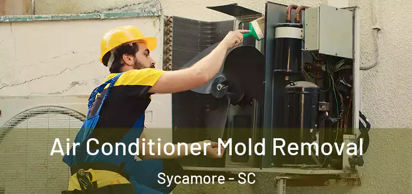 Air Conditioner Mold Removal Sycamore - SC