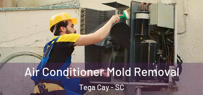 Air Conditioner Mold Removal Tega Cay - SC