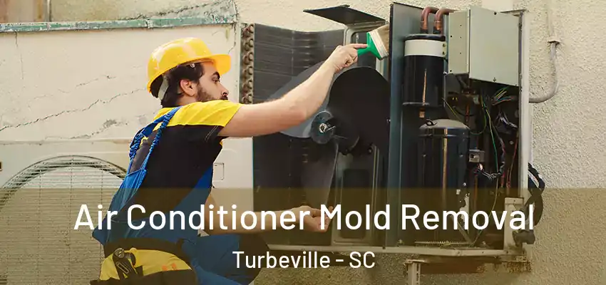  Air Conditioner Mold Removal Turbeville - SC