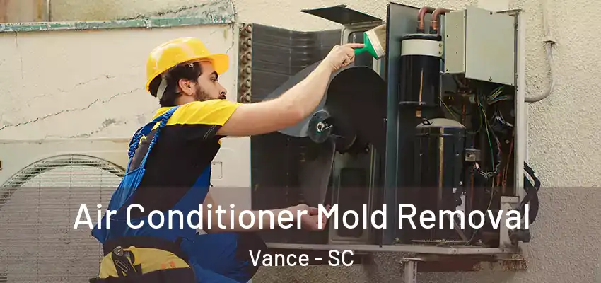  Air Conditioner Mold Removal Vance - SC