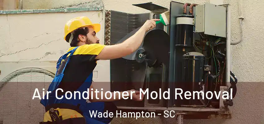  Air Conditioner Mold Removal Wade Hampton - SC
