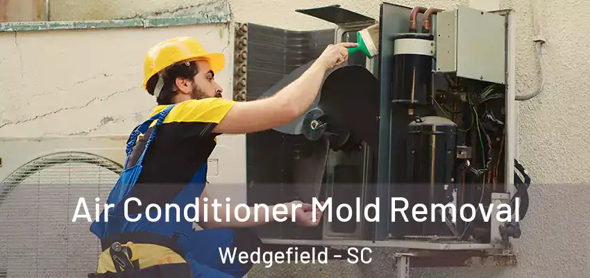  Air Conditioner Mold Removal Wedgefield - SC