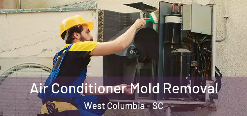 Air Conditioner Mold Removal West Columbia - SC