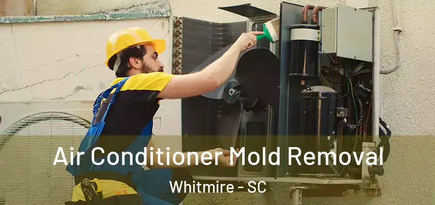 Air Conditioner Mold Removal Whitmire - SC