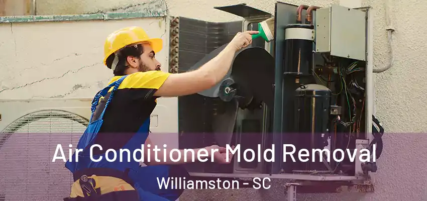 Air Conditioner Mold Removal Williamston - SC