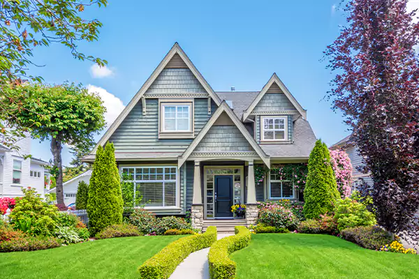 Black Mold Clean Up in Sumter, SC