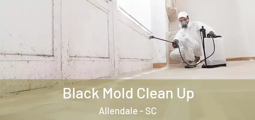  Black Mold Clean Up Allendale - SC