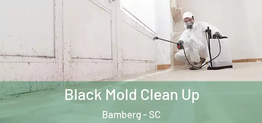  Black Mold Clean Up Bamberg - SC