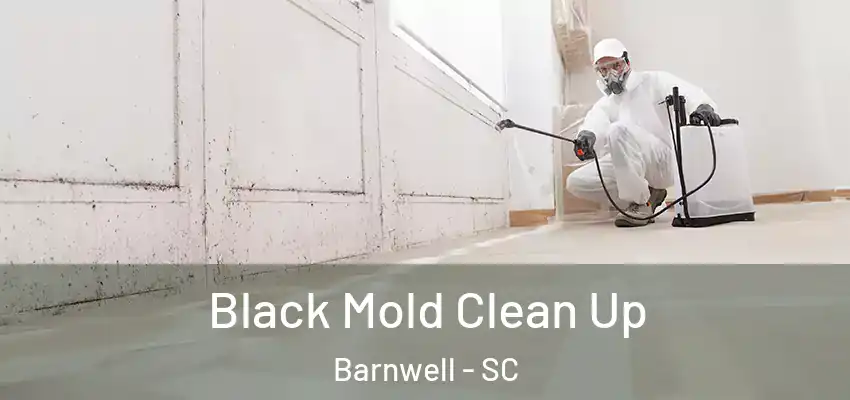 Black Mold Clean Up Barnwell - SC
