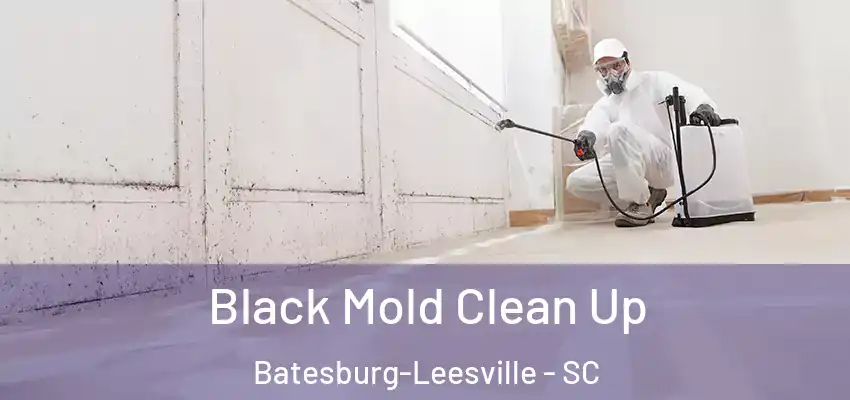  Black Mold Clean Up Batesburg-Leesville - SC
