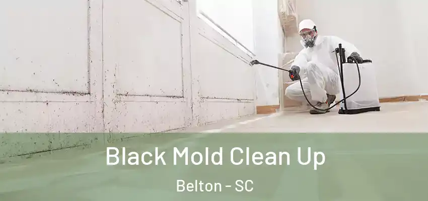  Black Mold Clean Up Belton - SC